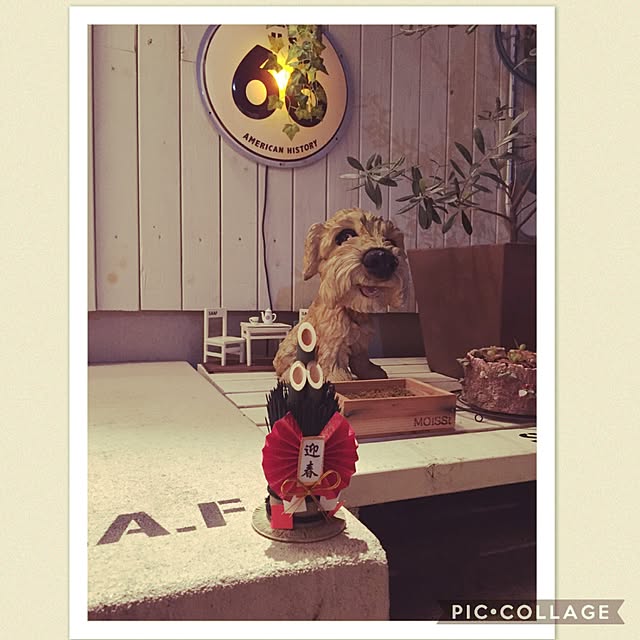 oozorataiga1さんの実例写真