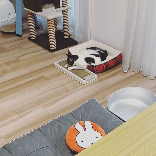 hemukoさんの実例写真