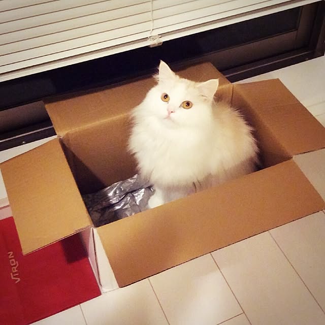 macaron_gallさんの実例写真