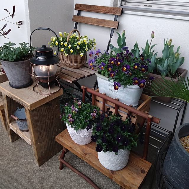 Petit_Pommierさんの実例写真