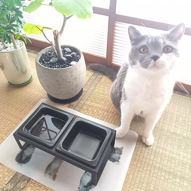 rhuさんの実例写真