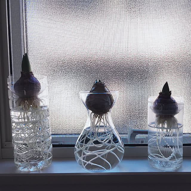部屋全体のインテリア実例 - 2019-01-13 22:25:41