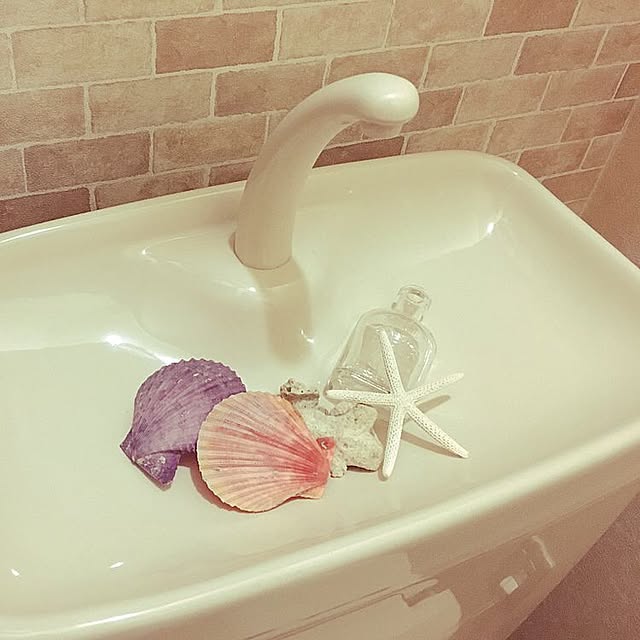 rumitasuさんの実例写真