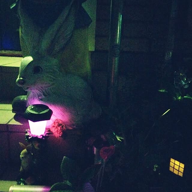 Mikaさんの実例写真