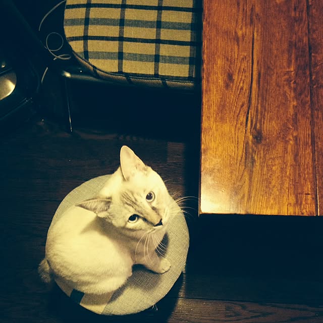 Naoki.さんの実例写真