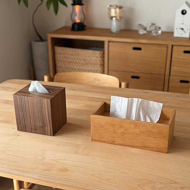 Anthuriumさんの部屋