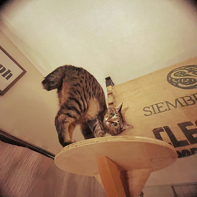 Mさんの実例写真