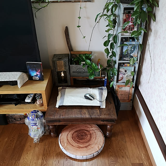 akiさんの実例写真