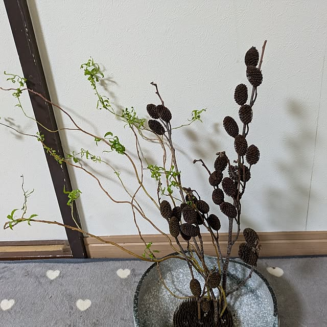 asaさんの部屋