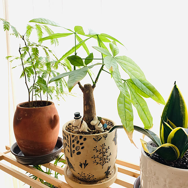 Tomokoさんの実例写真