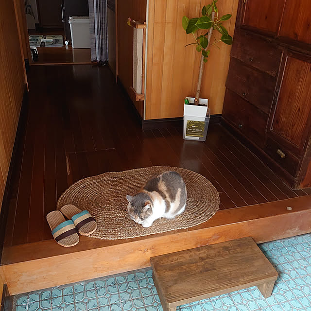 fukuさんの実例写真