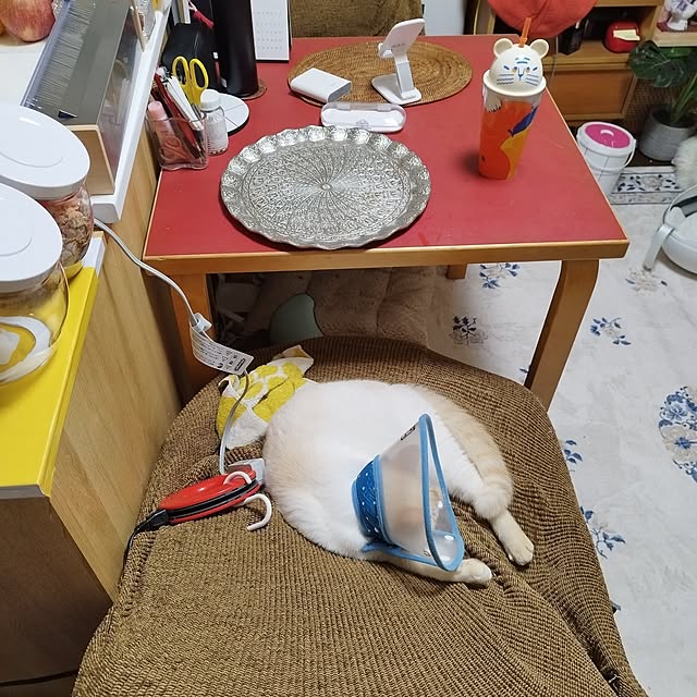 実例写真