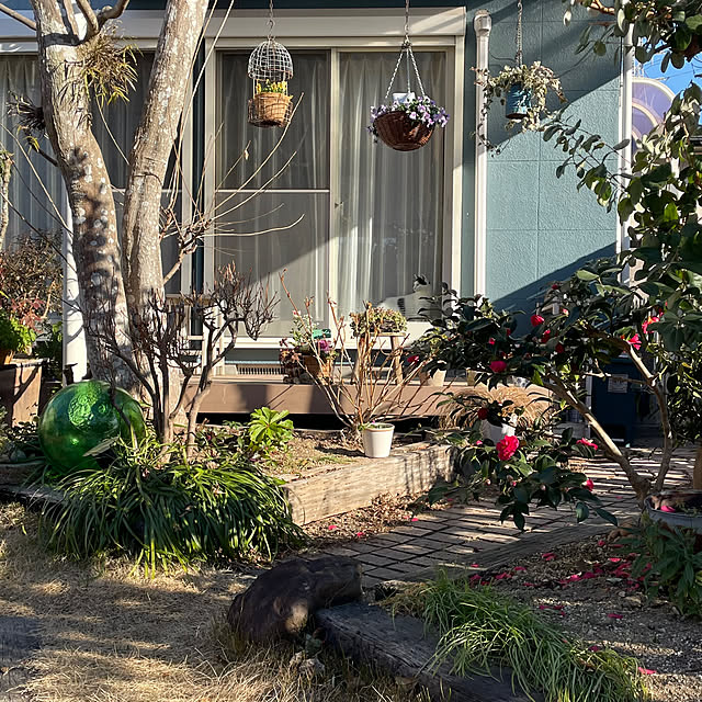 nobikoさんの部屋