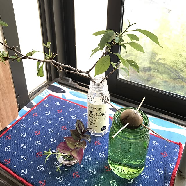 ariceさんの実例写真