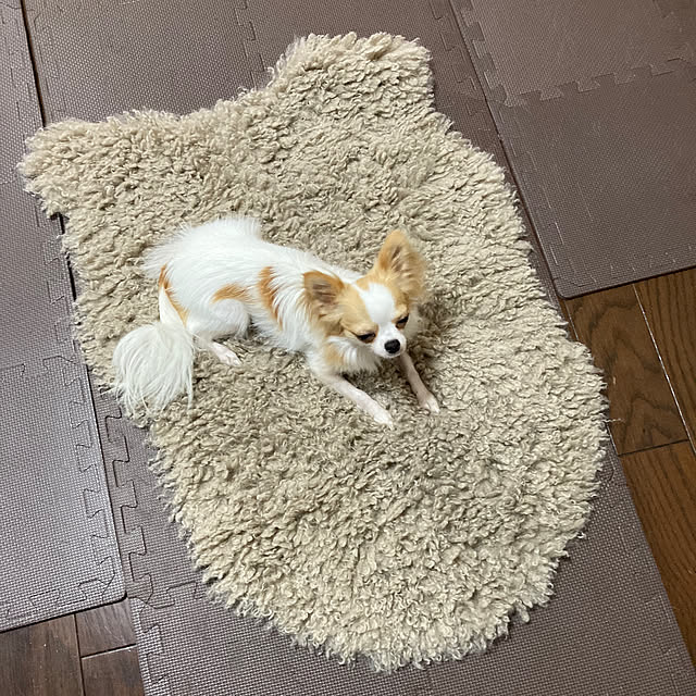 toratanさんの部屋