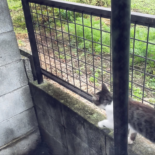 ronronさんの実例写真