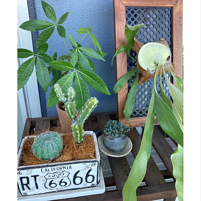tytn812さんの実例写真