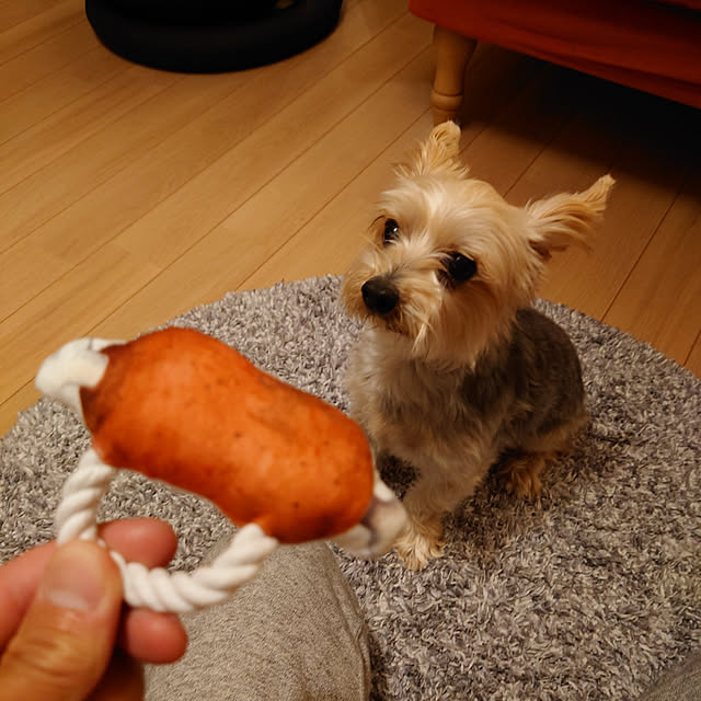 321さんの実例写真