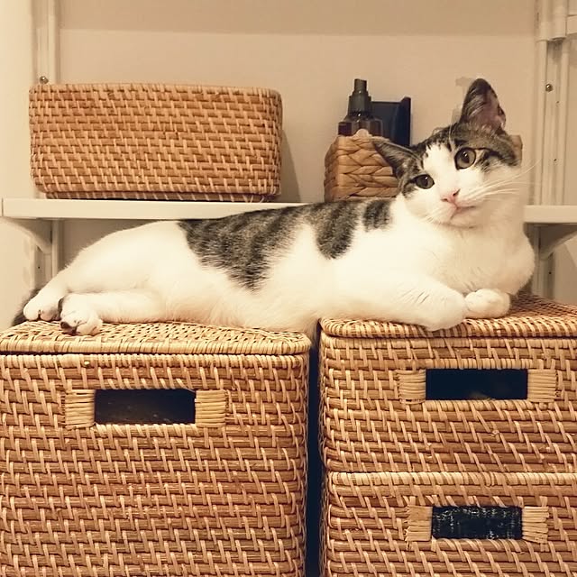runayucoさんの実例写真