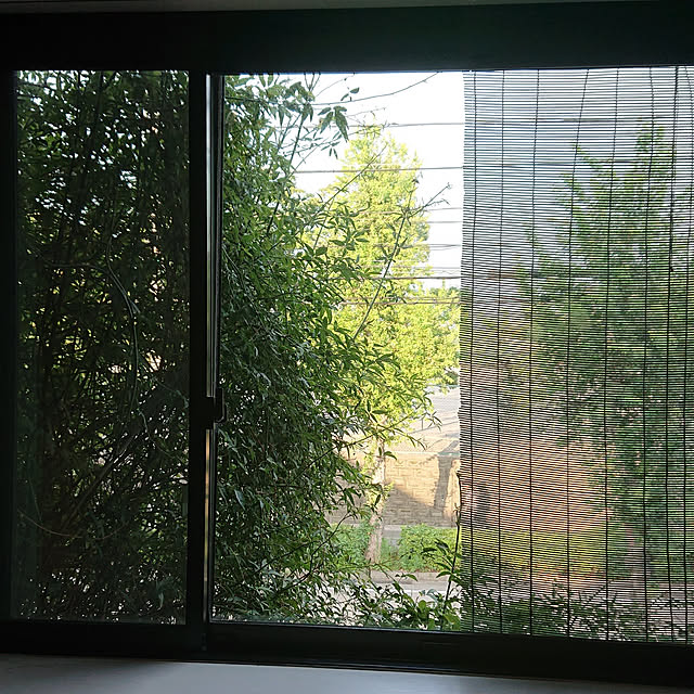 EKさんの実例写真