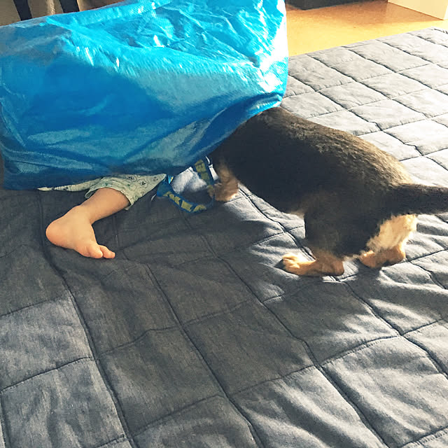 ohanaさんの実例写真