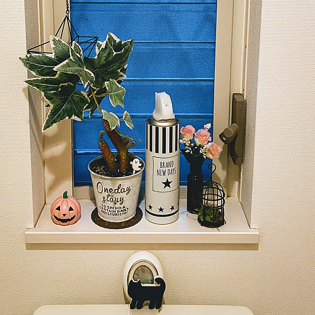 ayaさんの実例写真