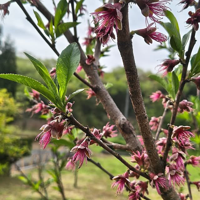 Rubiconさんの部屋