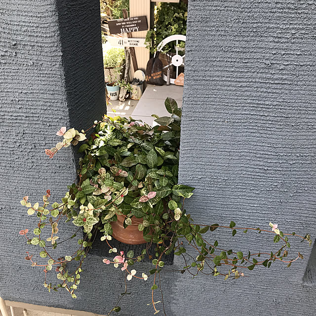 tanomamaさんの実例写真