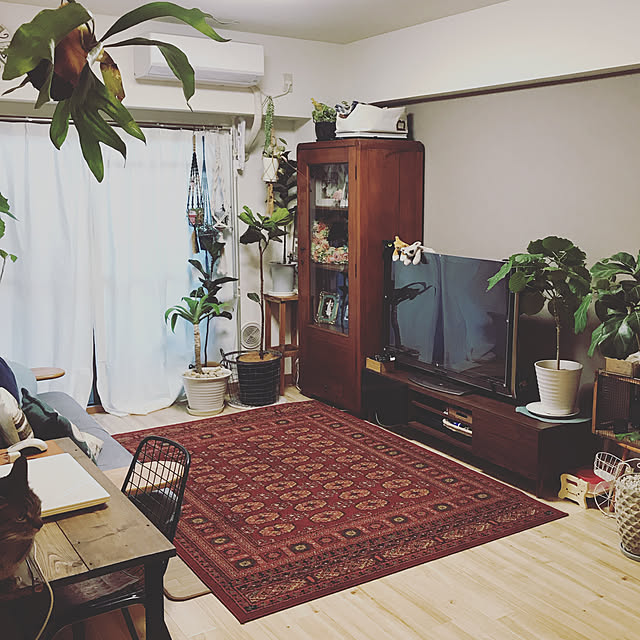 Masamiさんの部屋