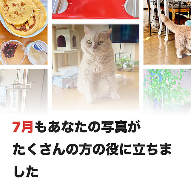 naokoさんの実例写真