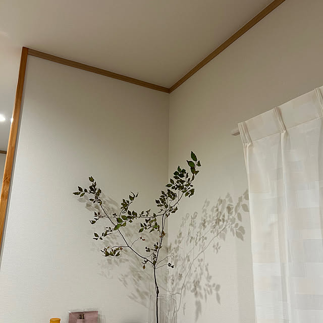moshimoshiさんの実例写真
