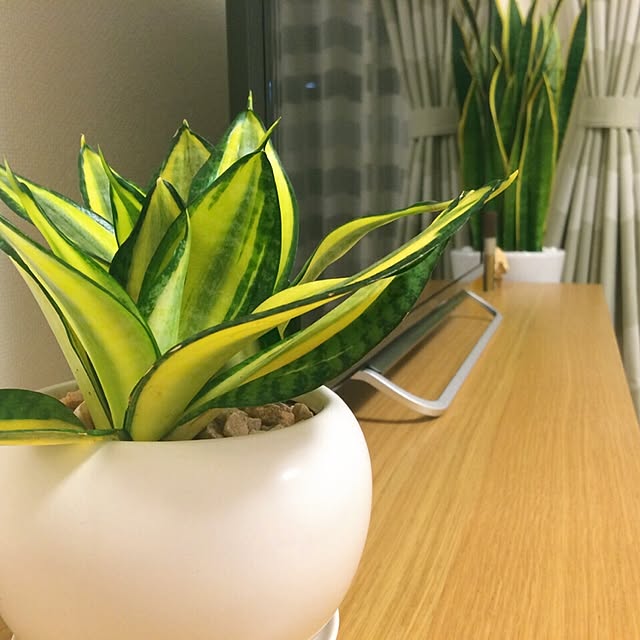 konitanさんの実例写真
