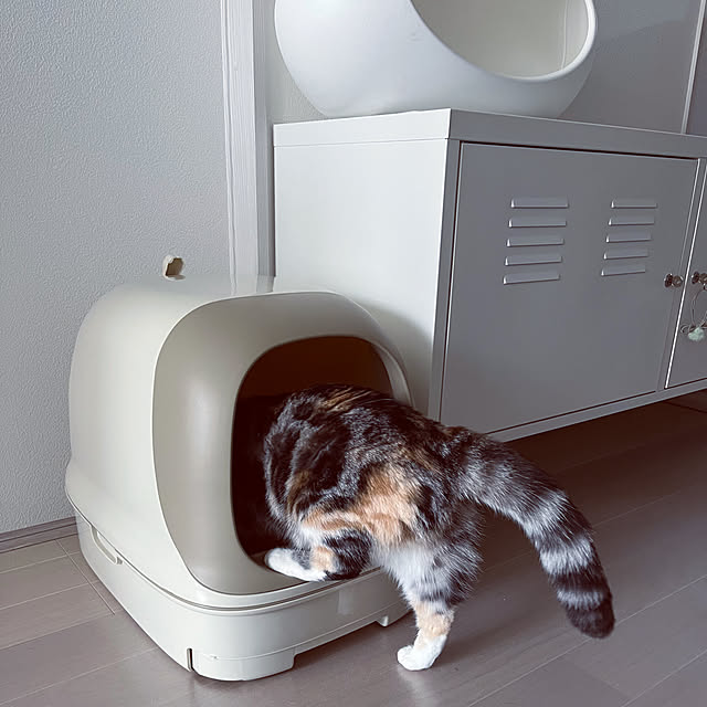 mouseさんの実例写真