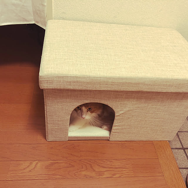uchidaizuさんの実例写真
