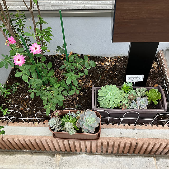 miiさんの部屋