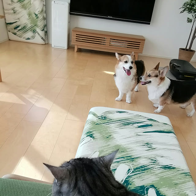 marutinoさんの実例写真
