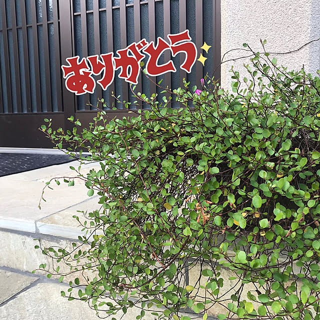 AOIさんの実例写真