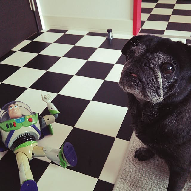 kuupugさんの実例写真