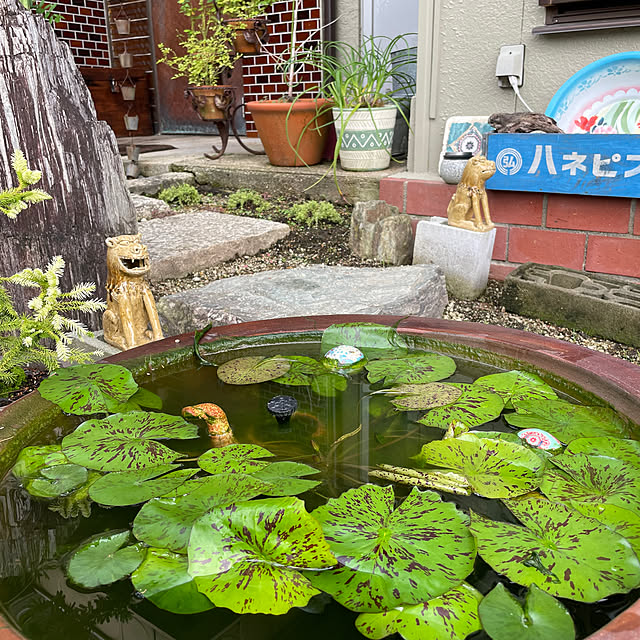 shin0719さんの実例写真