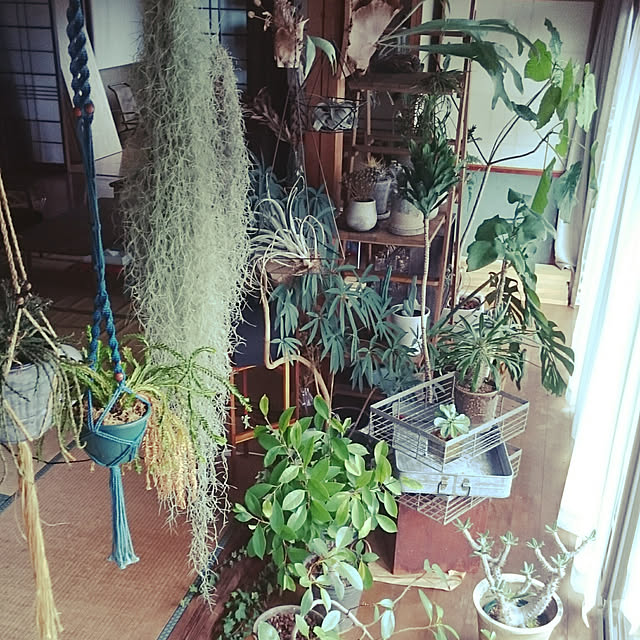 takenさんの実例写真