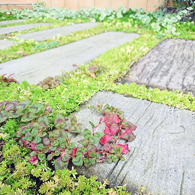 s_h_yさんの実例写真
