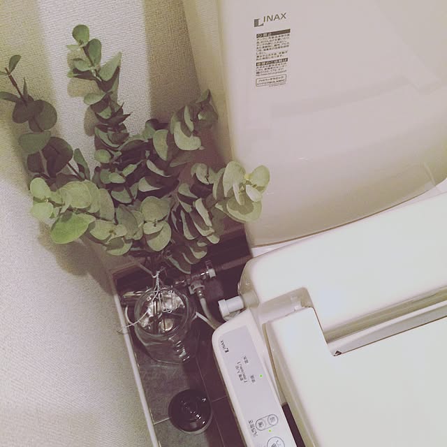 asaさんの実例写真