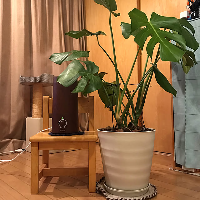 kou-kitiさんの実例写真