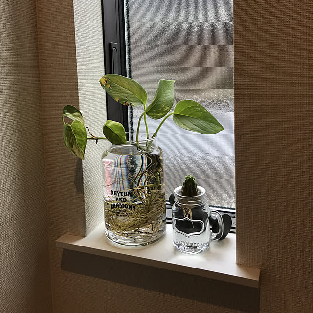 flowerpot-yuさんの実例写真