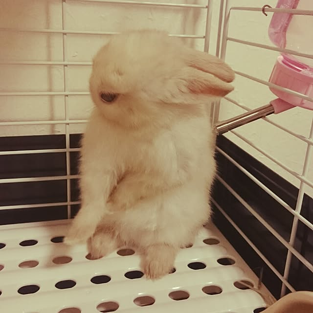 nnam0131さんの実例写真