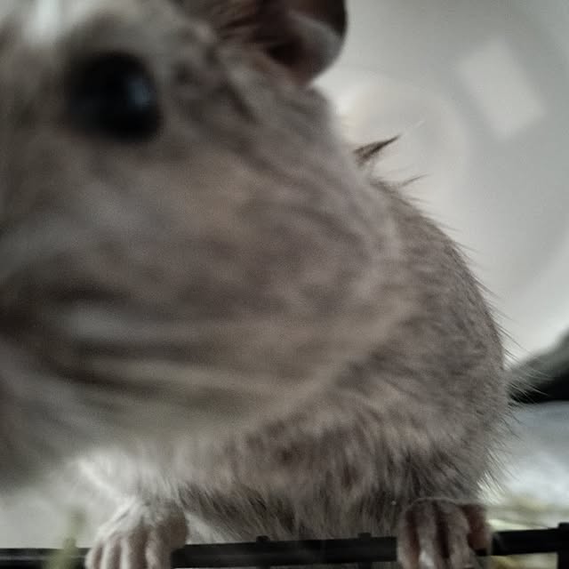 minmiさんの部屋
