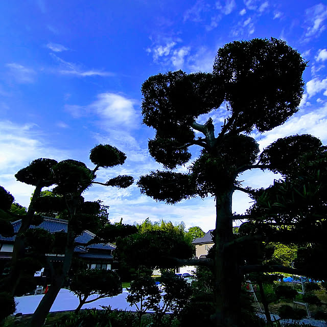 y.ebihara0811さんの実例写真