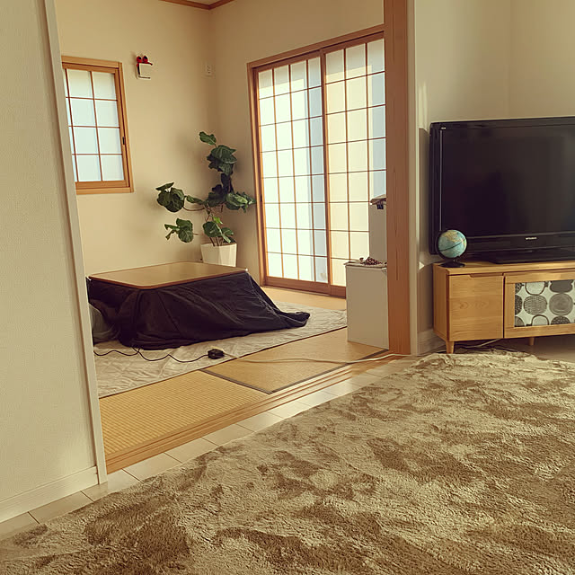 e-sukeさんの実例写真
