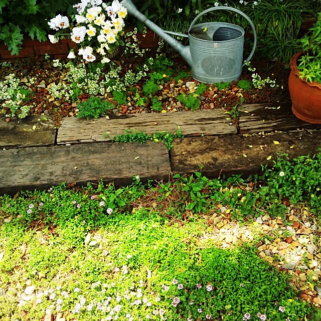 Rabbitさんの実例写真