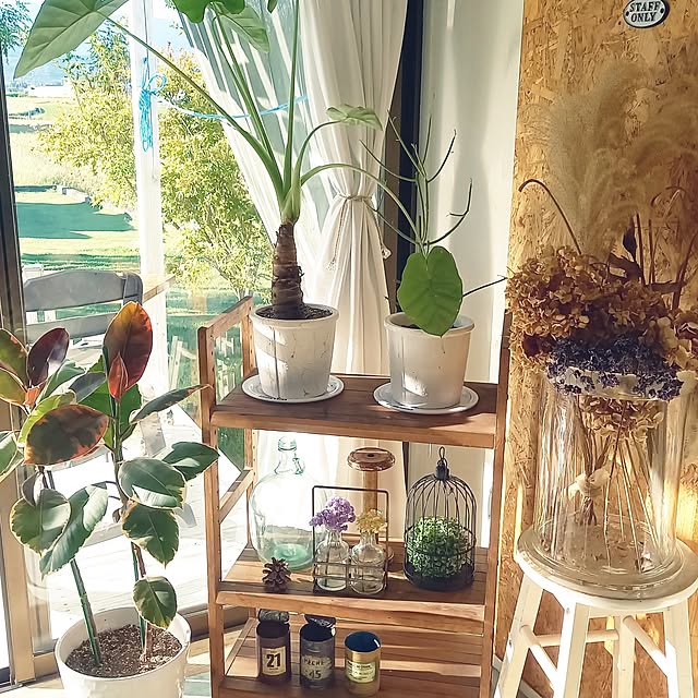 Akikoさんの部屋